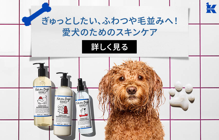 きゆっとしたい、ふわっや毛並みへ!愛犬のためのスキンケア