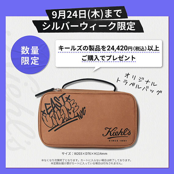9月24日(木)まで シルバーウィーク限定 24,420円（税込）以上のご購入で「オリジナル トラベル バッグ」プレゼント！