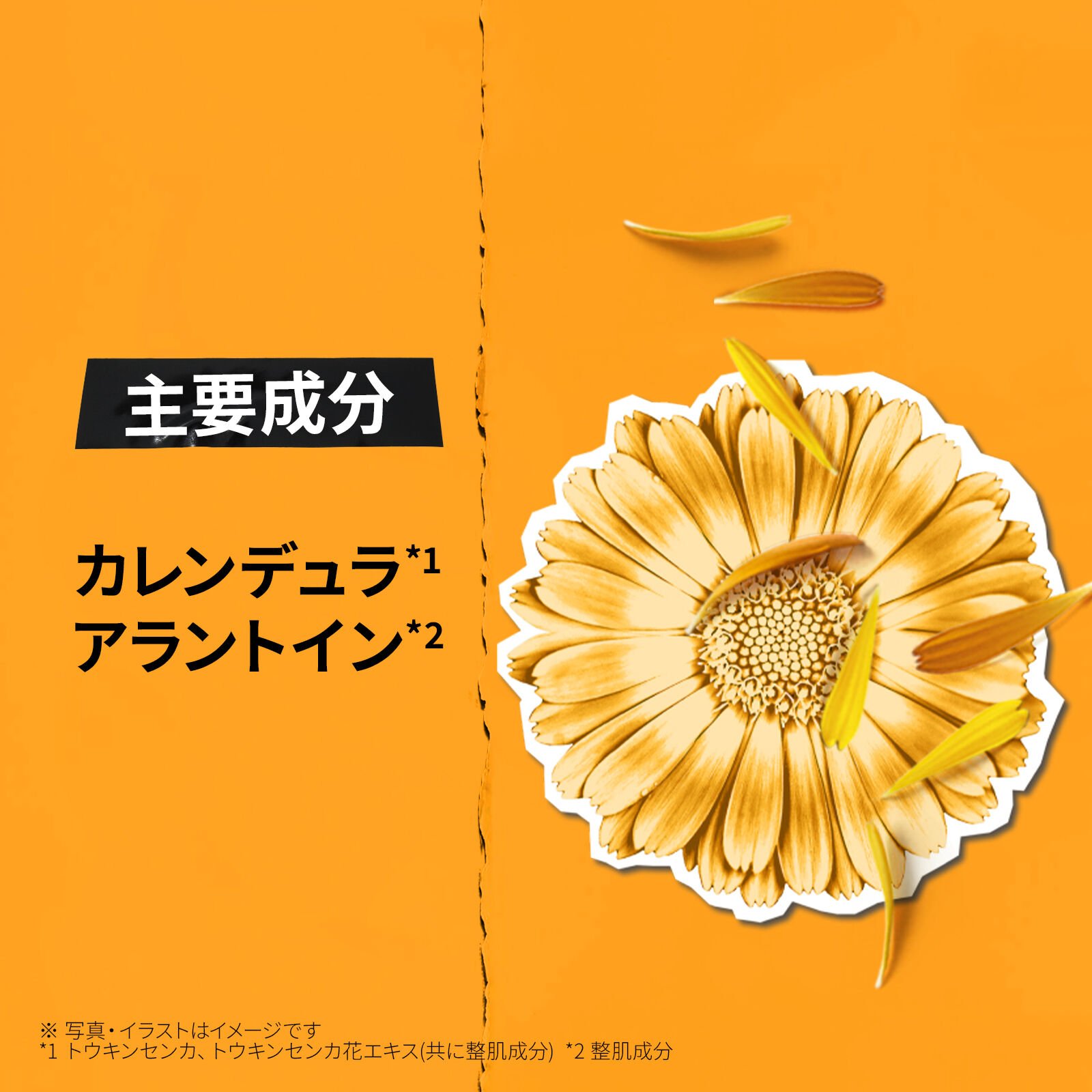 キールズ ハーバル トナー CL アルコールフリー