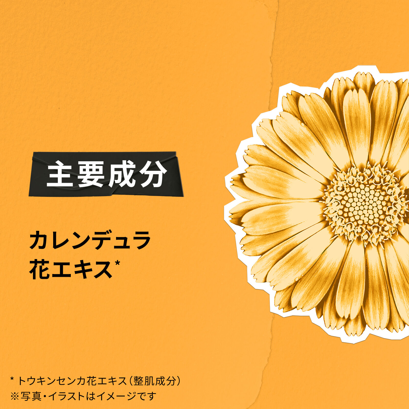 キールズ ウォータークリーム CL