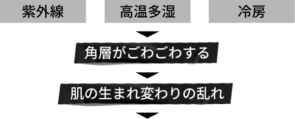 
                    紫外線 高温多湿 冷房
                    角層がごわごわする
                    肌の生まれ変わりの乱れ