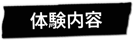 体験内容