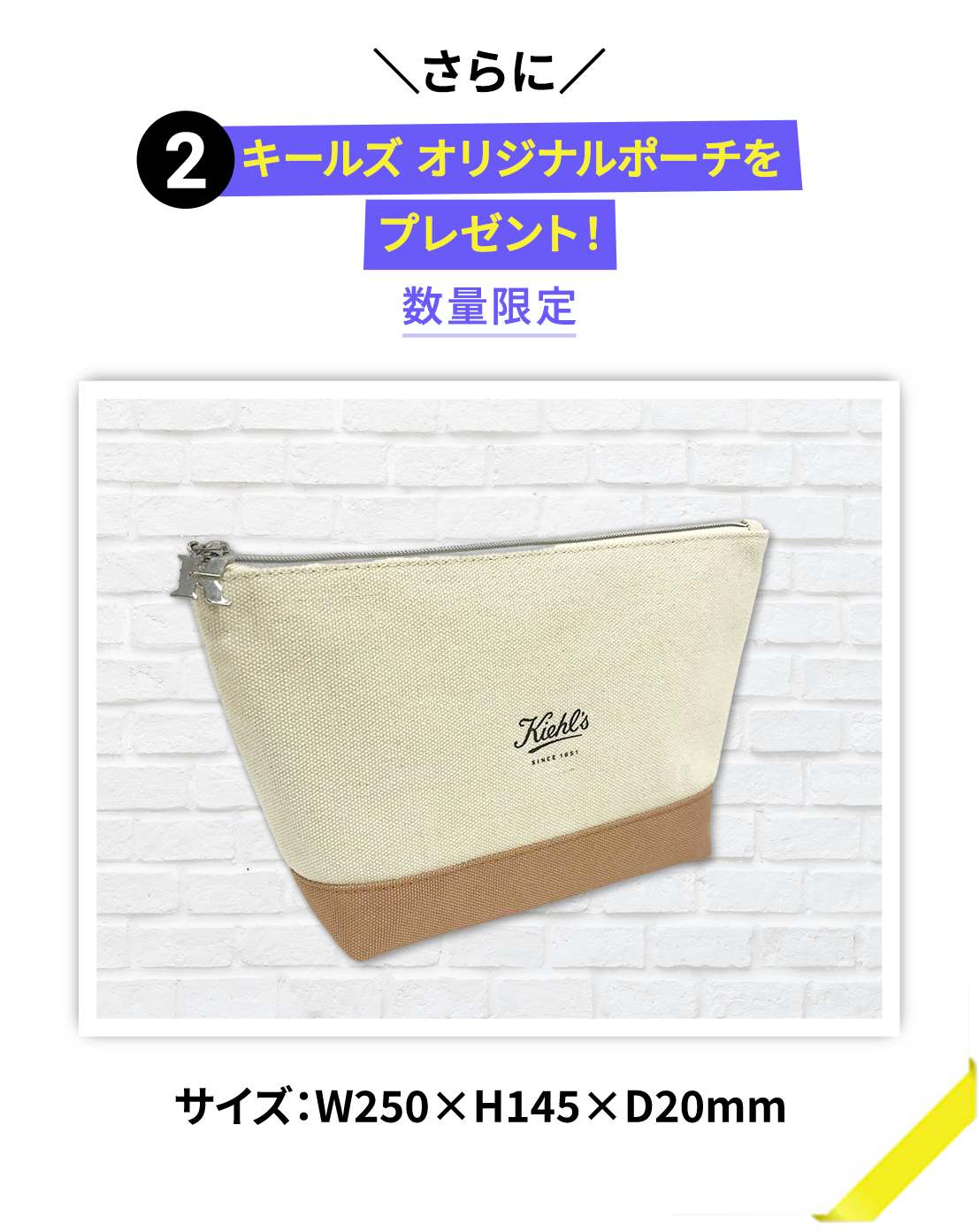＼さらに／
        2 キールズ オリジナルポーチを
        プレゼント！
        数量限定
        サイズ：W250×H145×D20mm