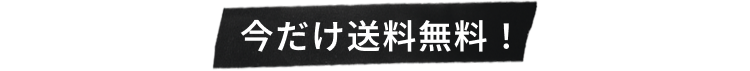 今だけ送料無料！